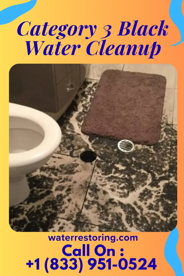 Category 3 Black Water Cleanup in Clearmont, MO