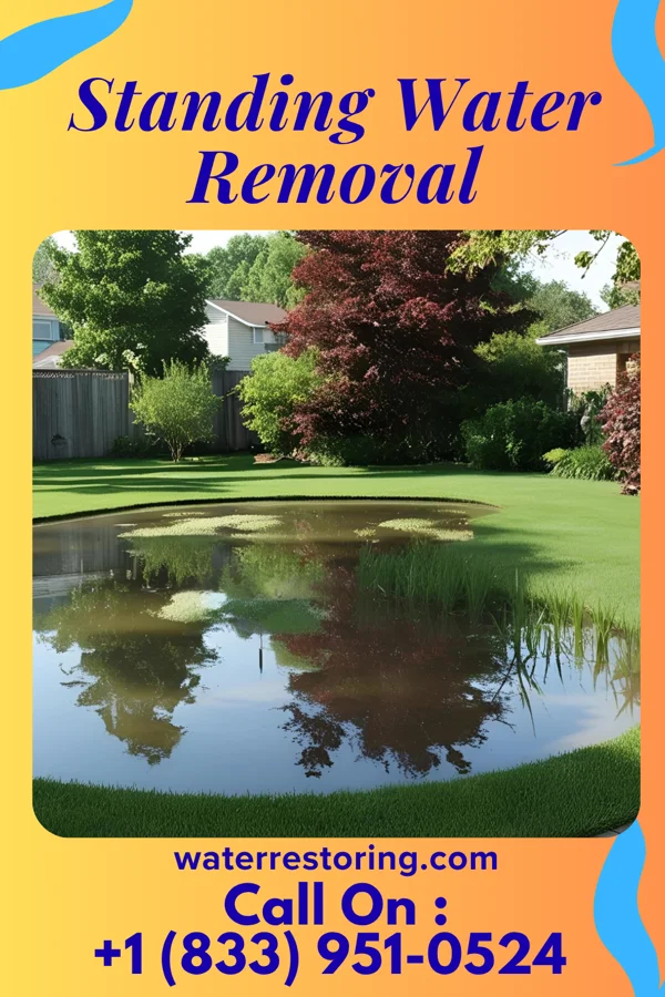Standing Water Removal in Clearmont, MO